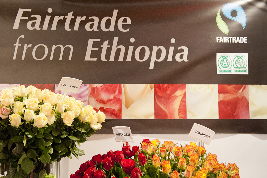 Hortiflora Expo Ethiopia 2013. Many roses companies producing in Ethiopia are certified by Fairtrade Labelling Organisation (Flo), world main fairtrade label