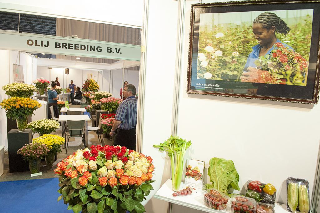 5.Hortiflora Expo Ethiopia 2013, which is financed by Dutch development cooperation